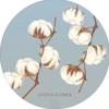 Llittlecotton