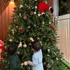 elovemesud