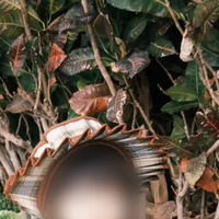 All The Beatiful Linen