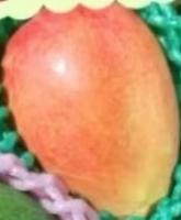 3.LIETO スリーリエート