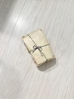 神秘禮物🎁 適合養一隻貓的都會女性