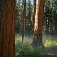 test upload 24MB image