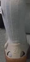 IGOR