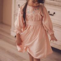 Lustre Dress - Pink & Blue