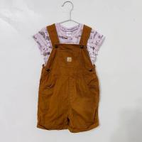 Carhartt Short-Sleeve Top and Stripe Shortall Set
