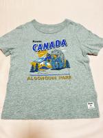 Roots灰色熊上衣