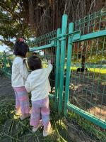 彩虹羊毛褲（L)