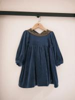 Coi Dress-Blue Velour