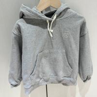 Hoodie in Grey Melange
