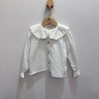 鏤空蕾絲大翻領刺繡襯衫