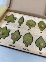 Q toys|Leaf Puzzle 自然認知教具(二手良好)