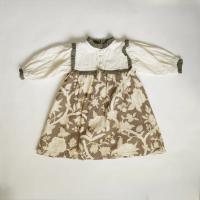 Ines Dress Autumn Earth Flowers