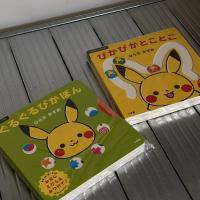 Pokemon寶可夢 互動硬頁童書繪本-兩冊組