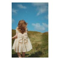 Ally Strauss Tulle Dress