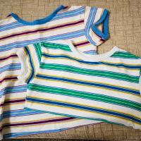 純棉條紋短袖上衣 Multi border ringer T- 2件