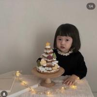 蕾絲長袖蛋糕洋裝