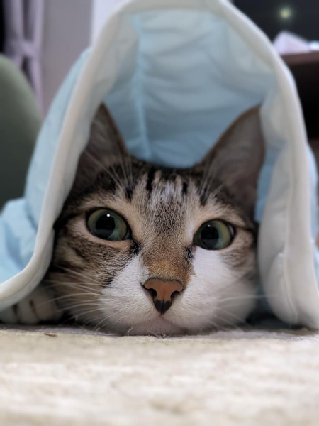 鞋子👞 image 1 of 0