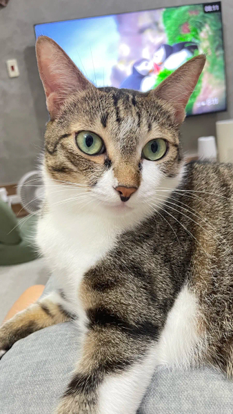 限時出價 image 1 of 0