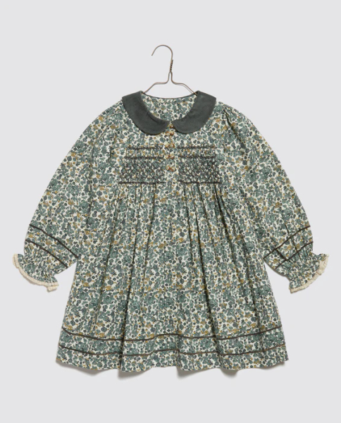 Clone 2 Nina Dress - chutney velvet image 1 of 0