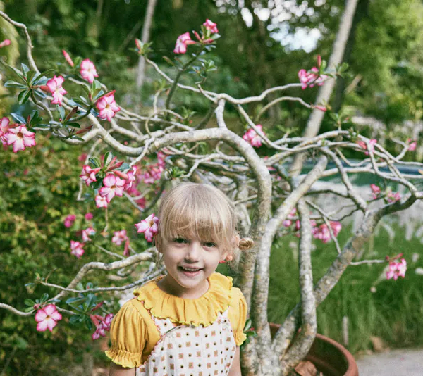Balloon Sleeve Paloma Tee image 1 of 0
