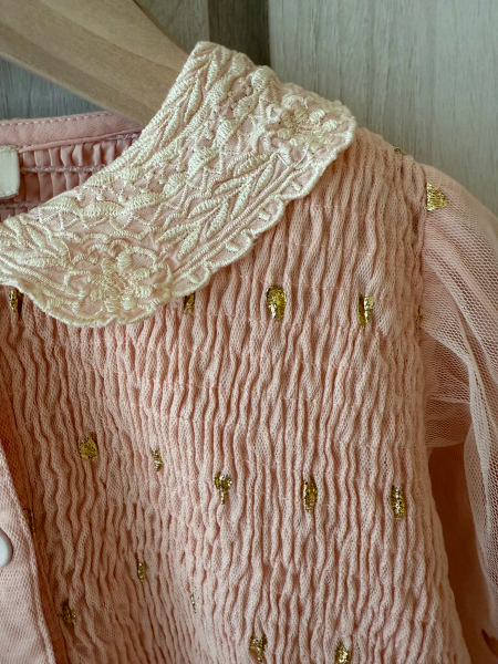 粉色紗刺繡領洋裝 image 1 of 0