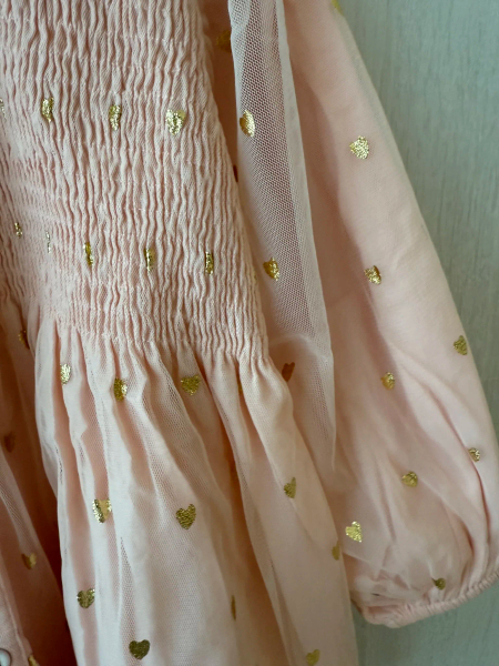 粉色紗刺繡領洋裝 image 1 of 0