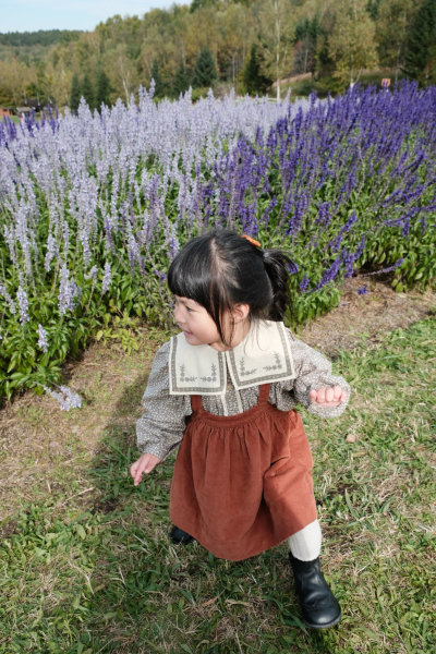 LCC Organic Sailor Blouse in Cowslip Floral Beech by Little Cotton Clothes(4-5y image 1 of 0