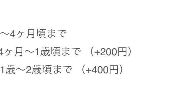 貝雷帽 image 1 of 0