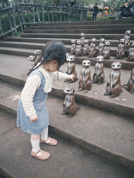 Misha&puff 背心裙 image 1 of 0