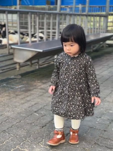 碎花洋裝 image 1 of 0