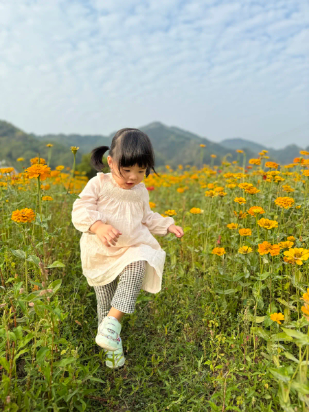 MARLMARL優雅法式洋裝 image 1 of 0