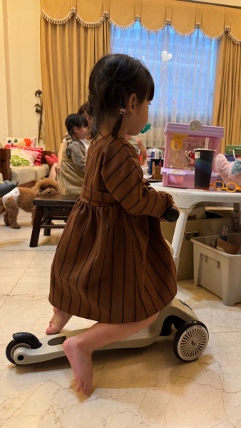 Sofie Dress - Stripy Brown image 1 of 0
