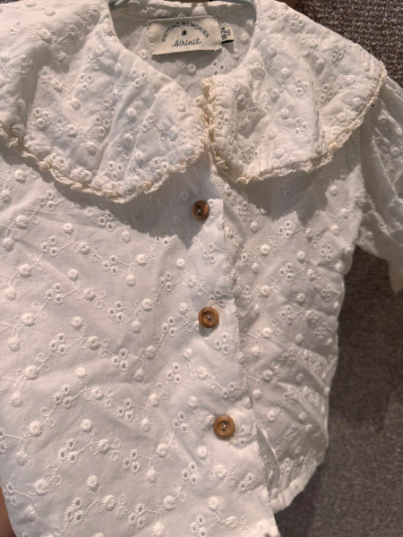 鏤空蕾絲大翻領刺繡襯衫 image 1 of 0