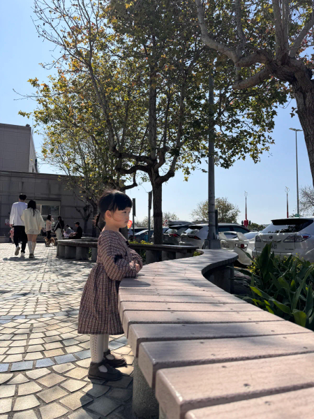 洋裝4/5Y image 1 of 0