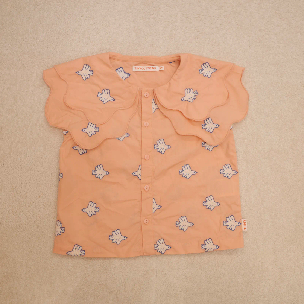 Doves Embroidered Blouse - Papaya 3y image 1 of 0