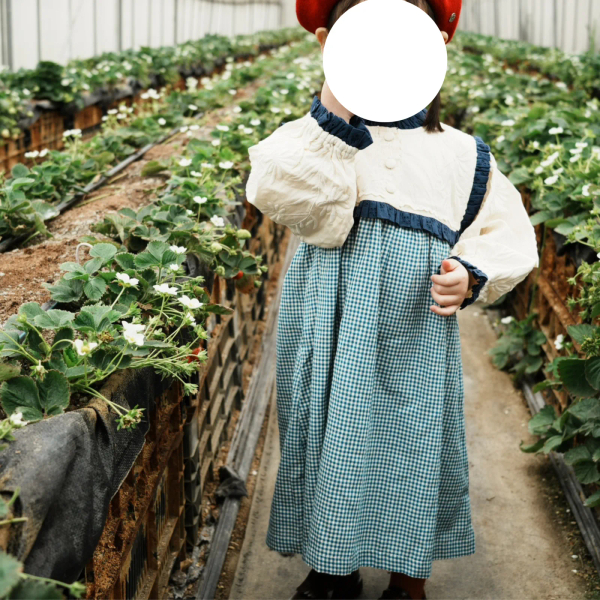 Ines Dress - Blue Vichy Check image 1 of 0