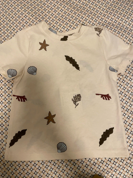 Organic zoo Seaweed Classic T-shirt image 1 of 0
