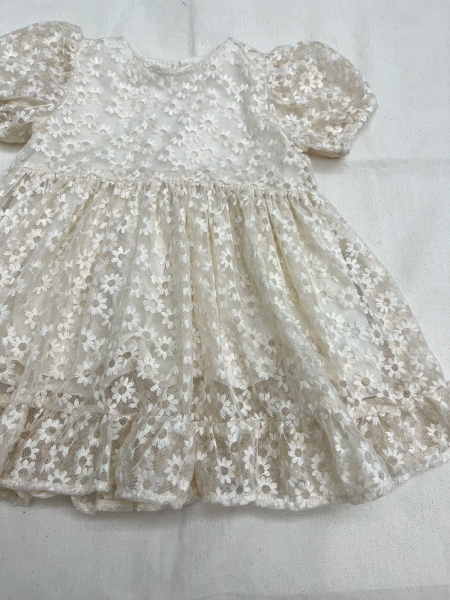 雛菊刺繡洋裝 image 1 of 0