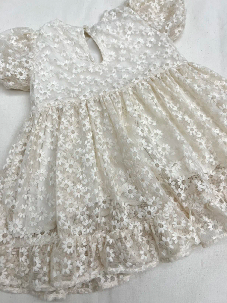 雛菊刺繡洋裝 image 1 of 0