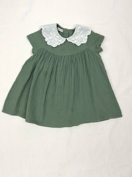 雕花領子洋裝 image 1 of 0