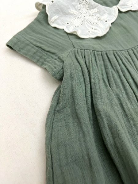 雕花領子洋裝 image 1 of 0