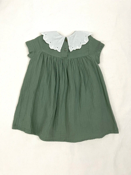 雕花領子洋裝 image 1 of 0