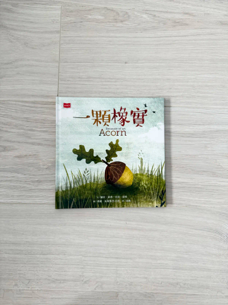 一顆橡實 BECAUSE OF AN ACORN image 1 of 0