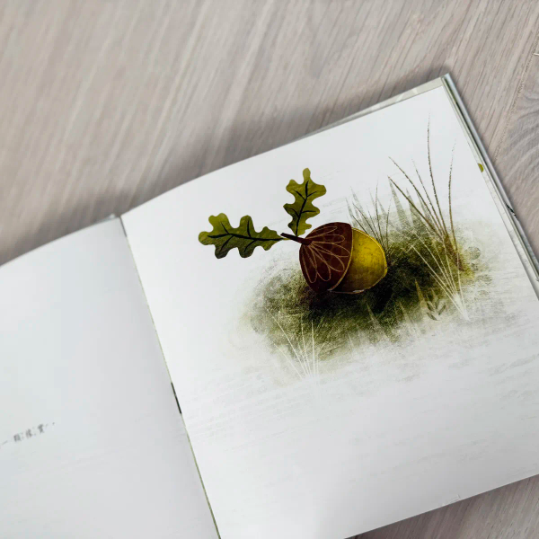 一顆橡實 BECAUSE OF AN ACORN image 1 of 0