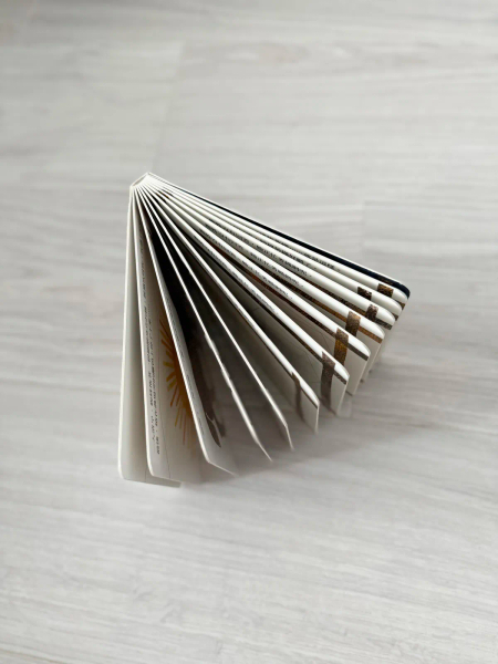 好忙的蜘蛛 image 1 of 0