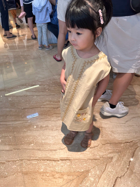 Vela Dress - Dove image 1 of 0