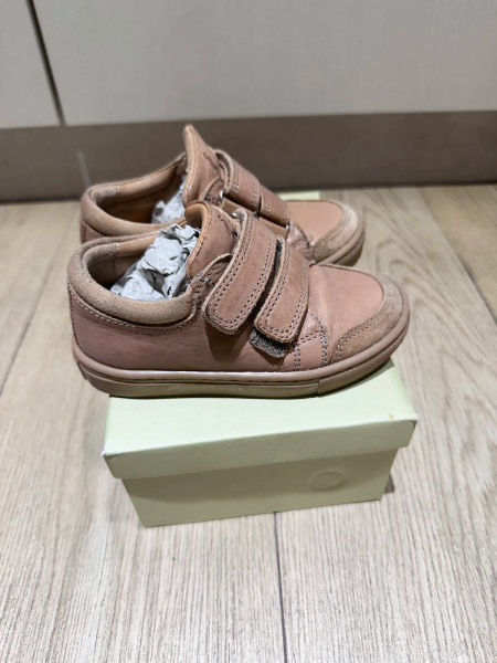 Petitnord LOW SNEAKER (23 image 1 of 0