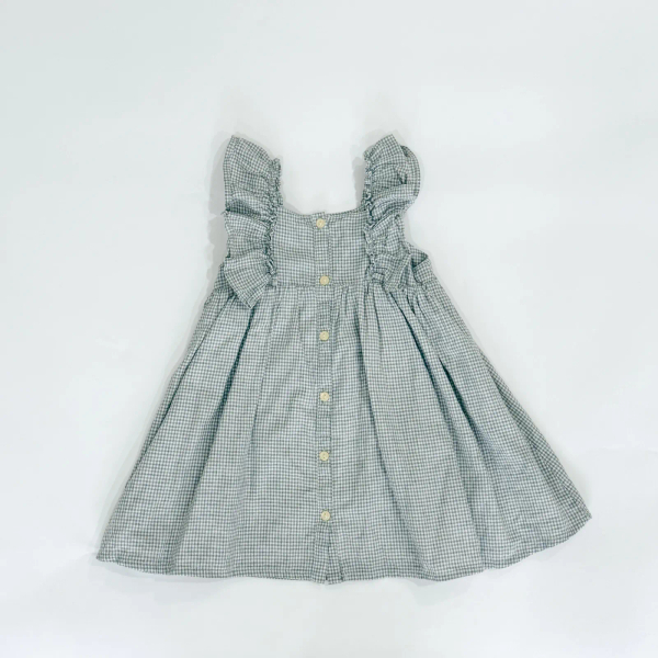 Organic Cotton Gingham Sylvie Dress image 1 of 0