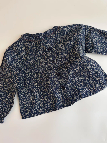 blouse 2y image 1 of 0