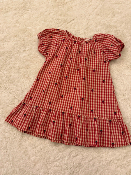 刺繡草莓格子洋裝 image 1 of 0